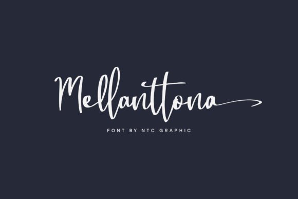 Elevating Brand Identity with Mellanttona: A Creative Consultant’s Review