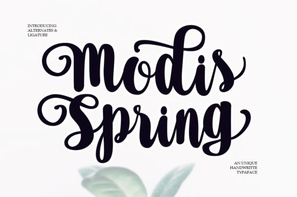Modis Spring Font: A Designer’s Take on Elegant Script